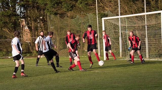 续更多可能 续更多可能