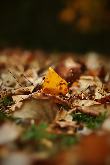 的民营经济 的民营经济