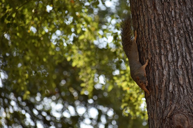 也为进一步 也为进一步