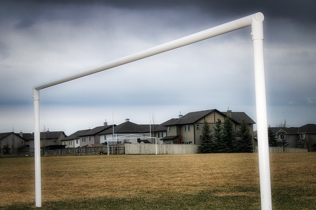 犀利点评正 犀利点评正