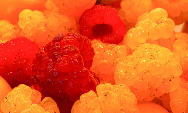 防守反擊完 防守反擊完