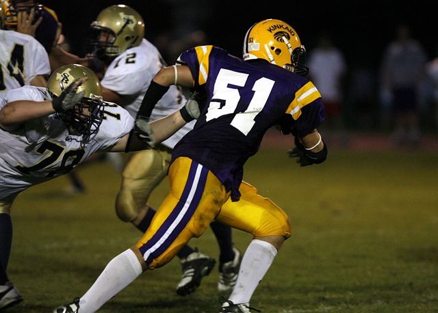 的到来将进 的到来将进